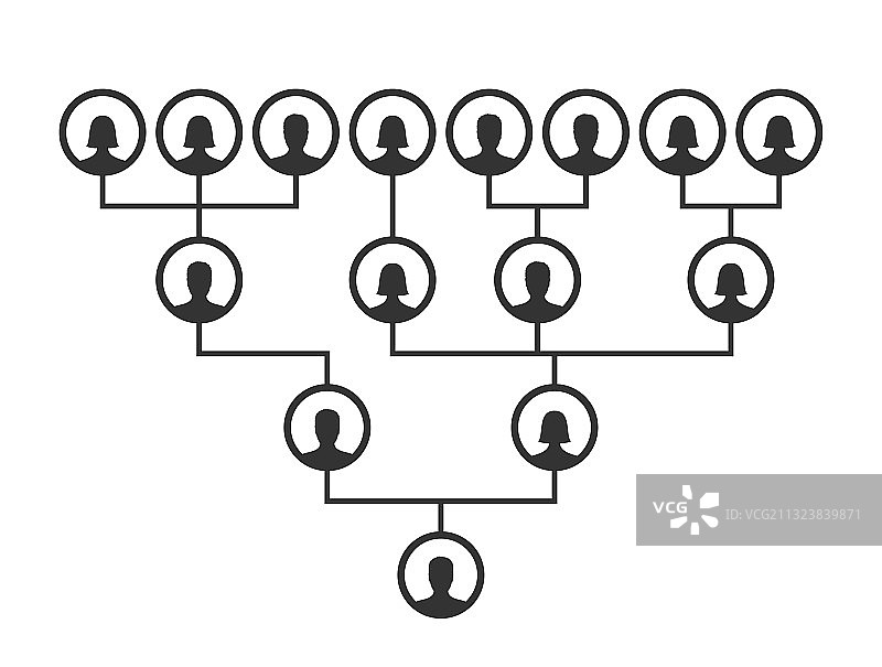 家族树谱系图或家谱图表模板图片素材