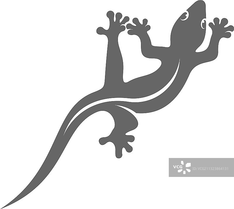 蜥蜴Logo设计模板图片素材