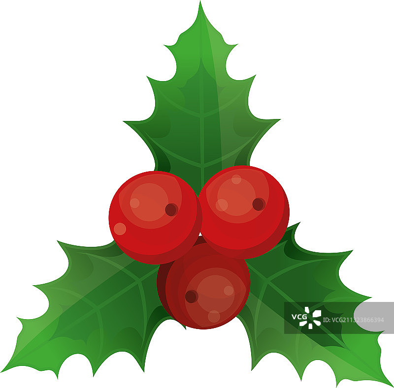 圣诞快乐冬青浆果装饰图片素材