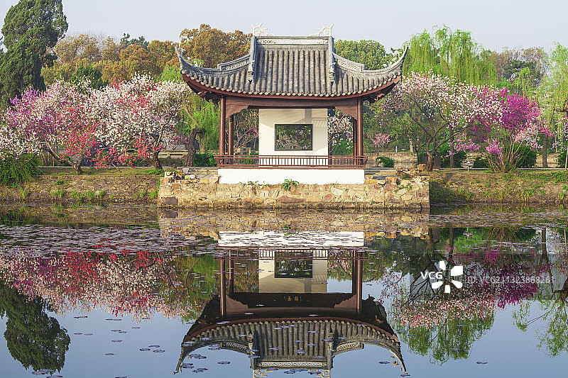 江南名园——蠡园图片素材