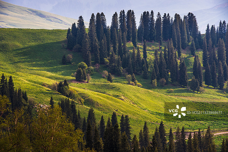 新疆--伊犁-尼勒克县-唐布拉大草原图片素材