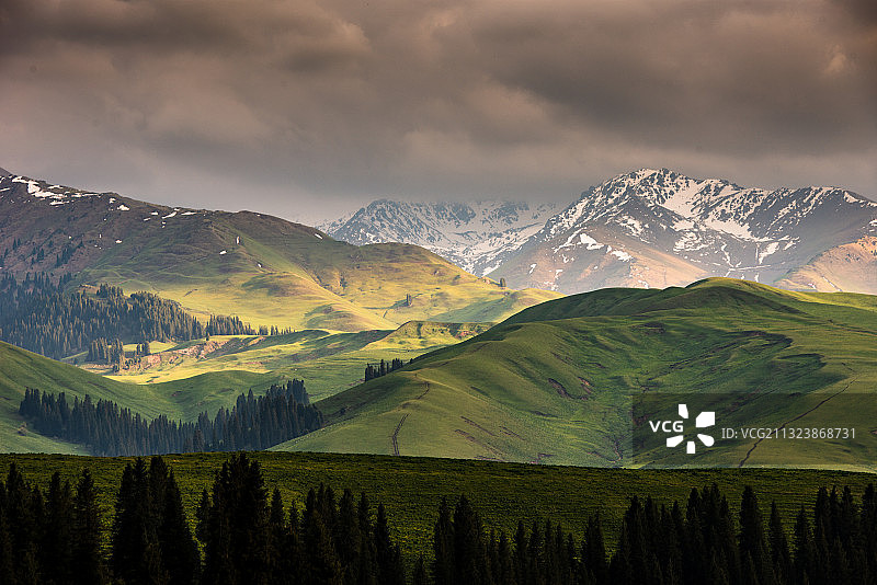 新疆--伊犁-尼勒克县-唐布拉大草原图片素材