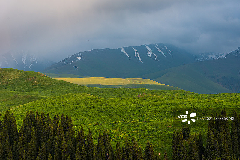 新疆--伊犁-尼勒克县-唐布拉大草原图片素材