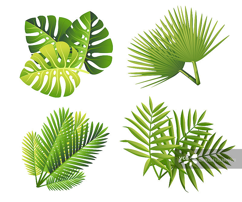 热带绿色叶子扁平风格棕榈叶集合图片素材