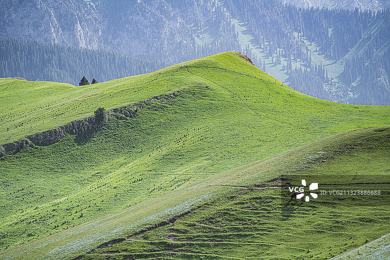新疆北疆博尔塔拉赛里木湖草原草场牧场放牧高原湖泊哈萨克族图片素材