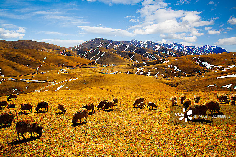 中国云南省会泽县大海草山风景区图片素材