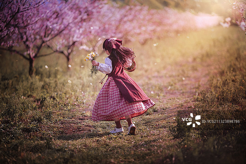 穿着长裙的小女孩在桃花林里旋跳舞图片素材
