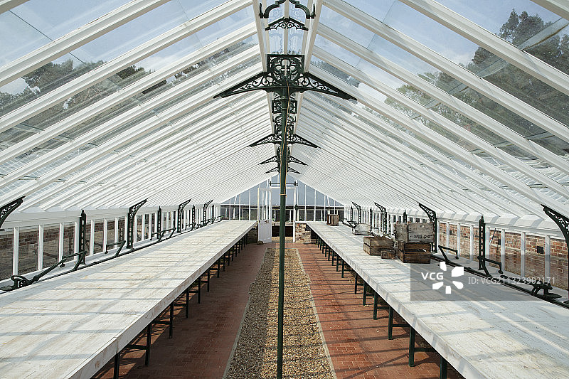 阳光明媚的花园中心温室中的桌子图片素材