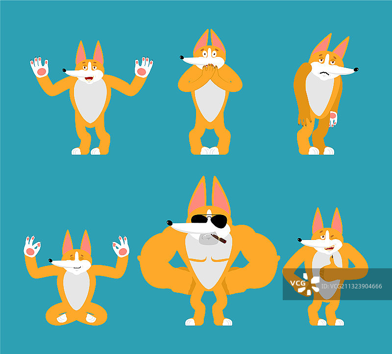 柯基犬的各种姿势：快乐、瑜伽和睡眠图片素材