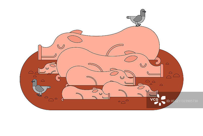 泥地里的猪一家图片素材