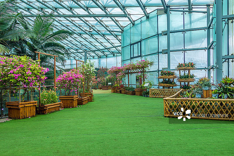 中国南京中山植物园室内景观图片素材