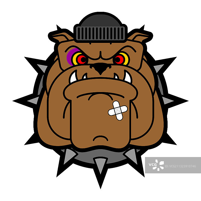 流氓狗脸恶霸斗牛犬头像图片素材