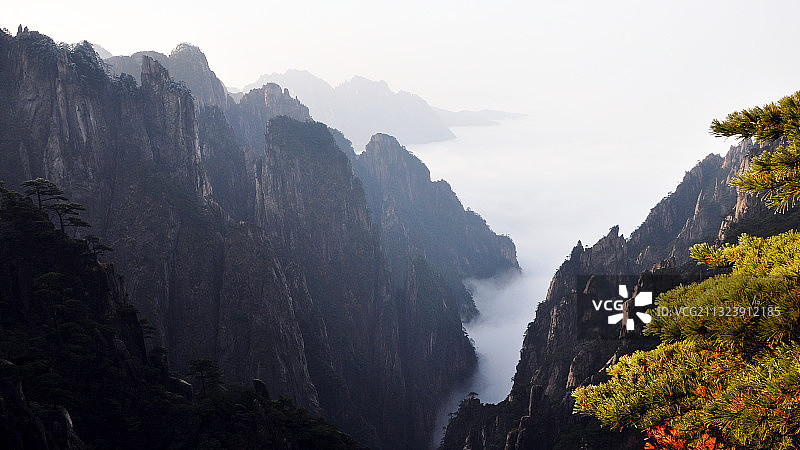 黄山-白鹅岭图片素材