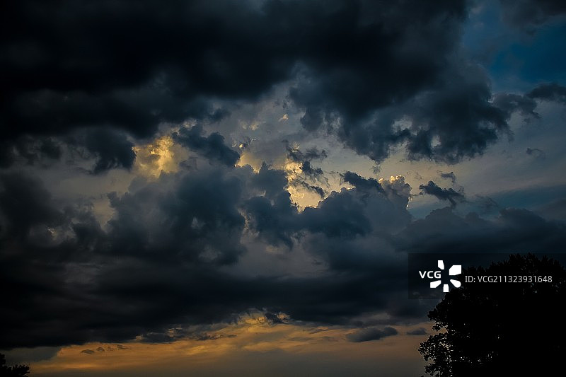 戏剧性天空下的树木剪影仰视图图片素材