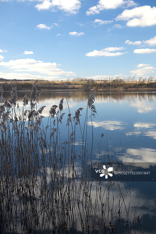 湖泊风光，英国贝德福德郡图片素材