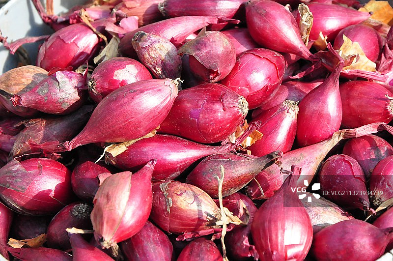 市场摊位上出售的洋葱全景照片图片素材