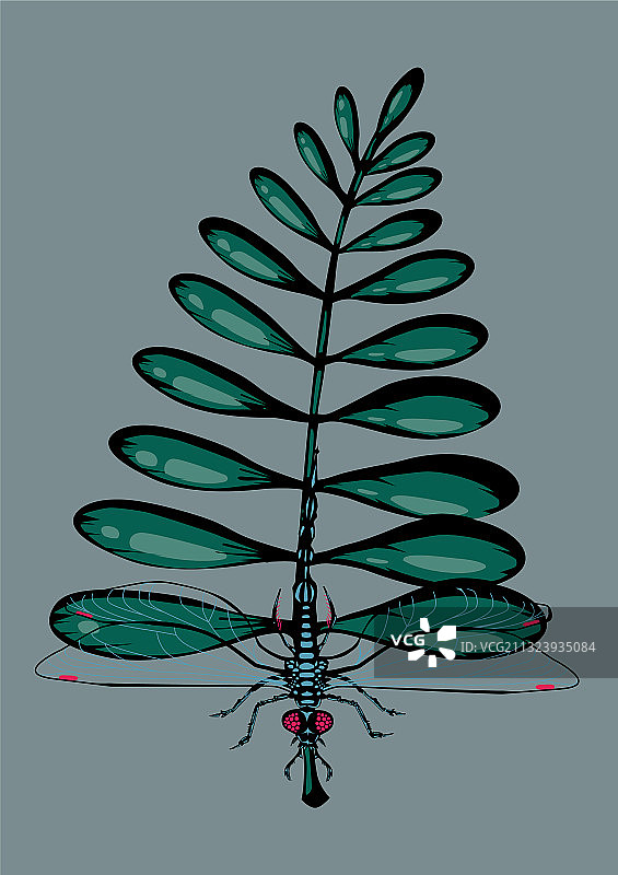 飞龙与热带叶子昆虫植物图片素材