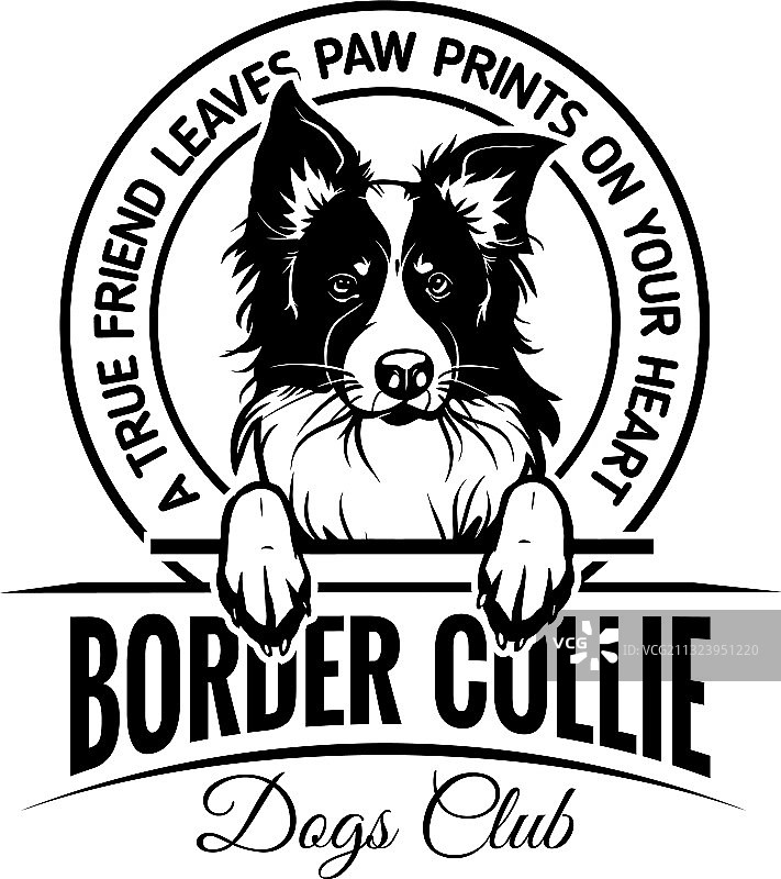 边境牧羊犬徽章贴纸标签图片素材