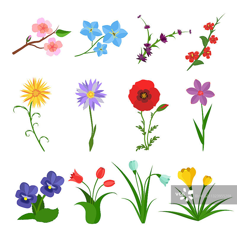 白色背景上的花园野生鲜花图片素材