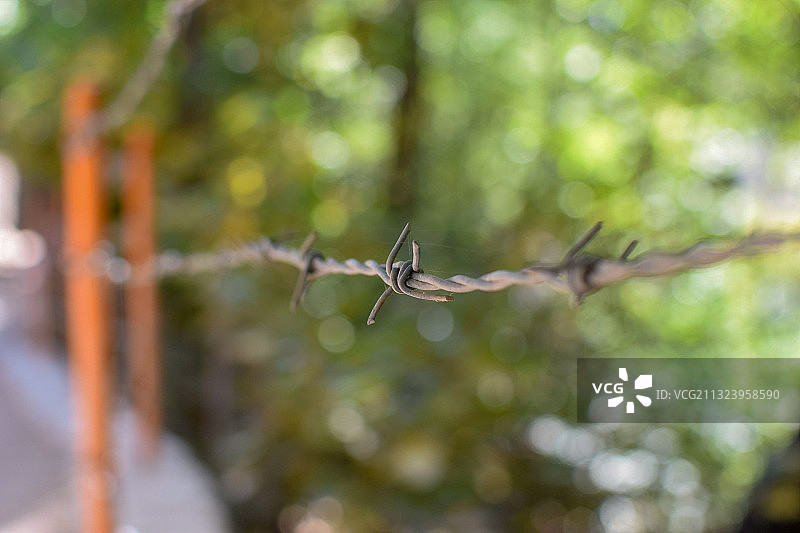 伊朗带刺铁丝网围栏特写图片素材