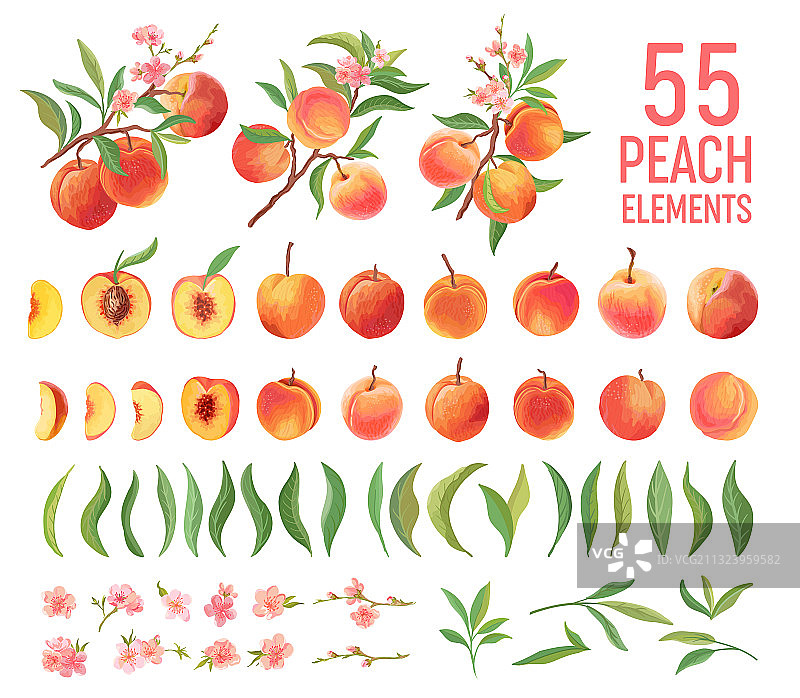 桃子水果水彩元素集合图片素材
