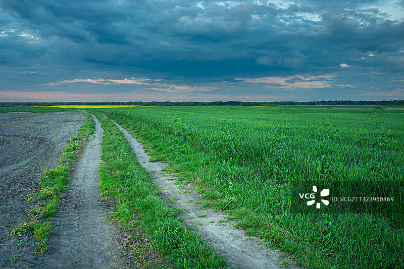 天空映衬下的农田风景图片素材