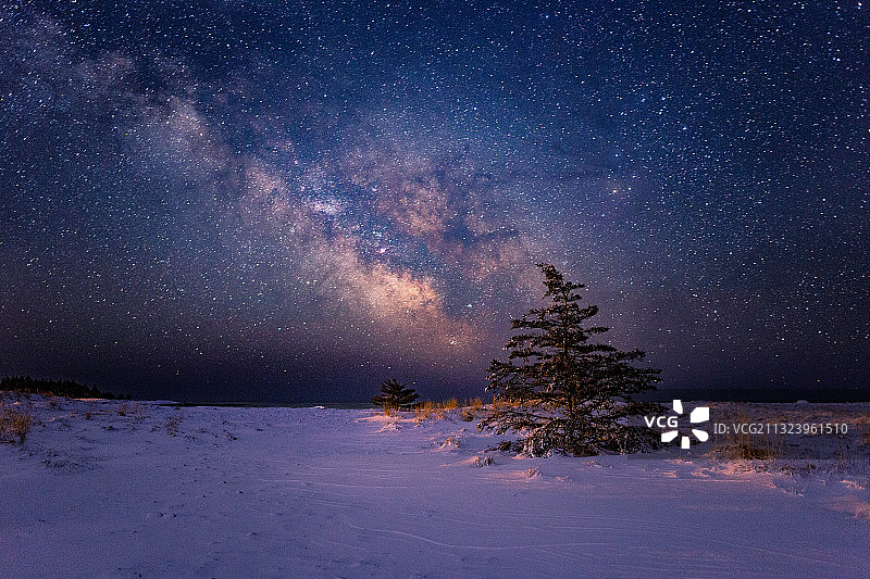 加拿大新斯科舍省卢嫩堡夜空下的雪原树木图片素材