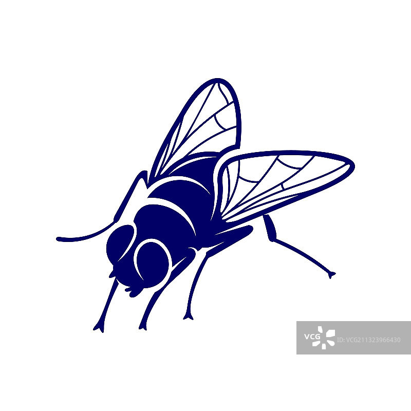 苍蝇设计模板符号图标图片素材