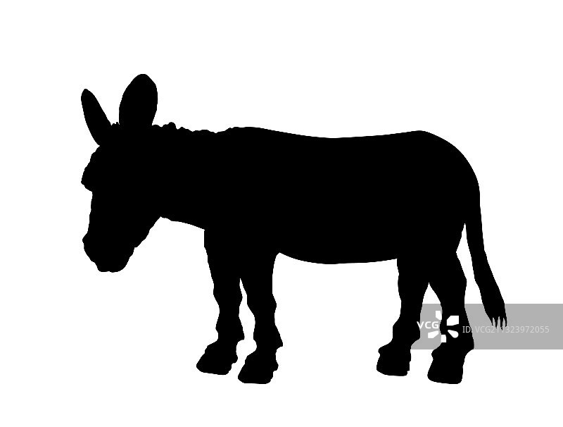 孤立的驴子轮廓图片素材