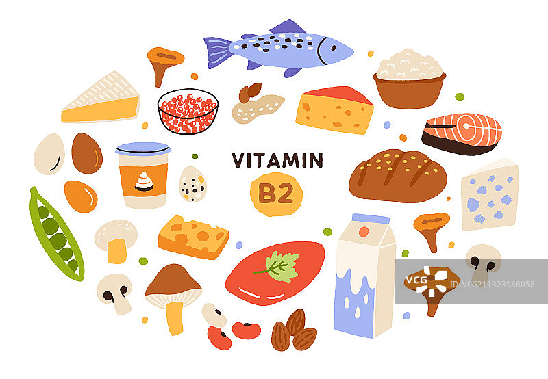 富含维生素B2的食物图片素材