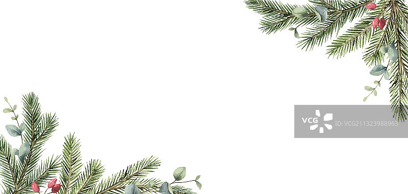 带有冷杉树枝的圣诞节水彩卡片图片素材