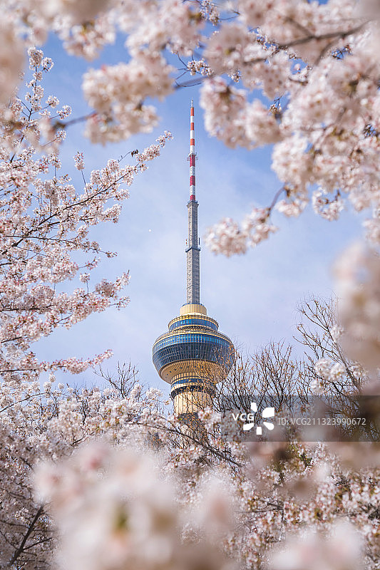 花团锦簇图片素材