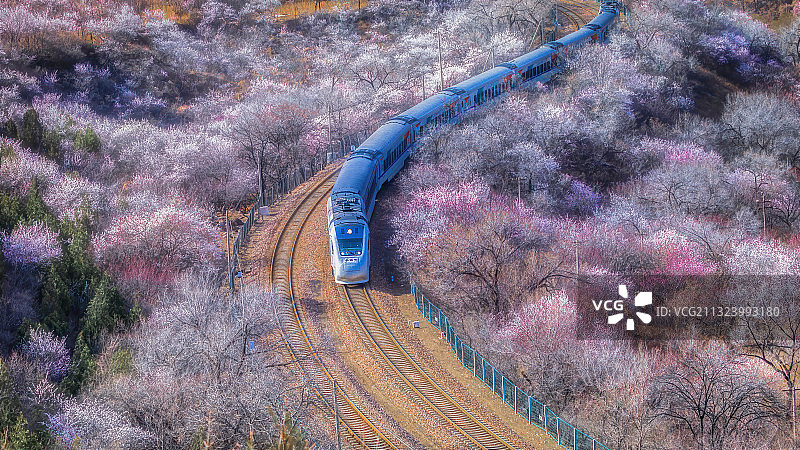 开往春天的列车～图片素材