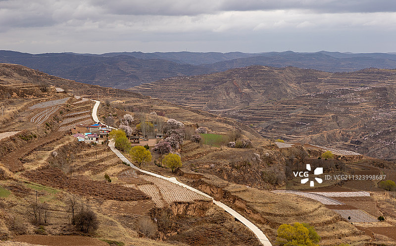 春天的黄土高原上乡村里的路图片素材