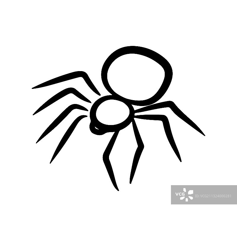 蜘蛛图片素材