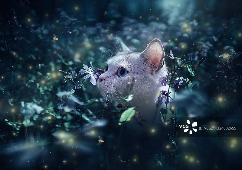 小虫飞图片素材