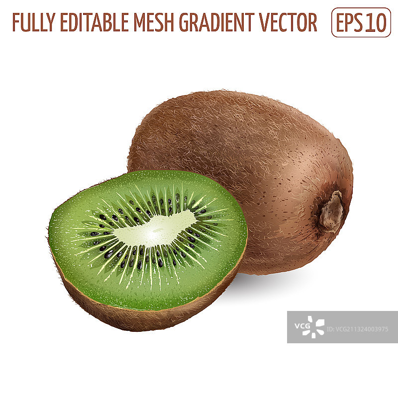 白色背景上的完整猕猴桃和半个猕猴桃图片素材