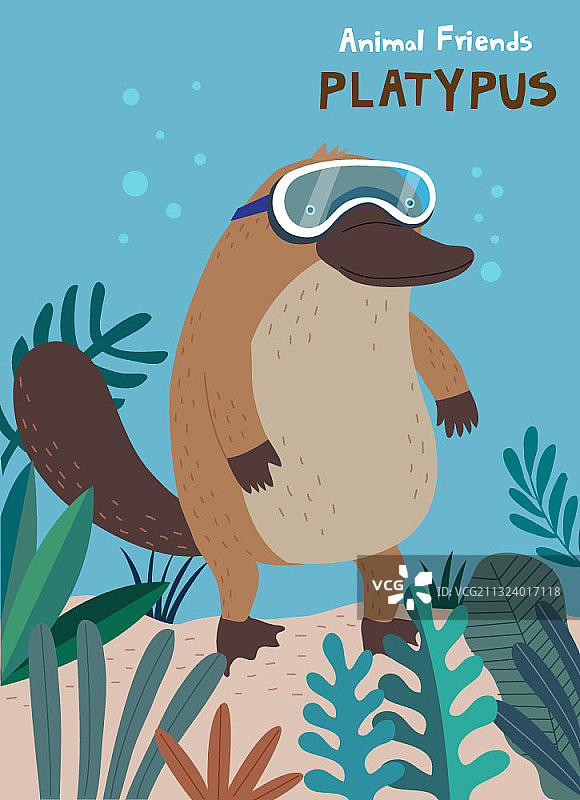 戴着护目镜的潜水鸭嘴兽图片素材