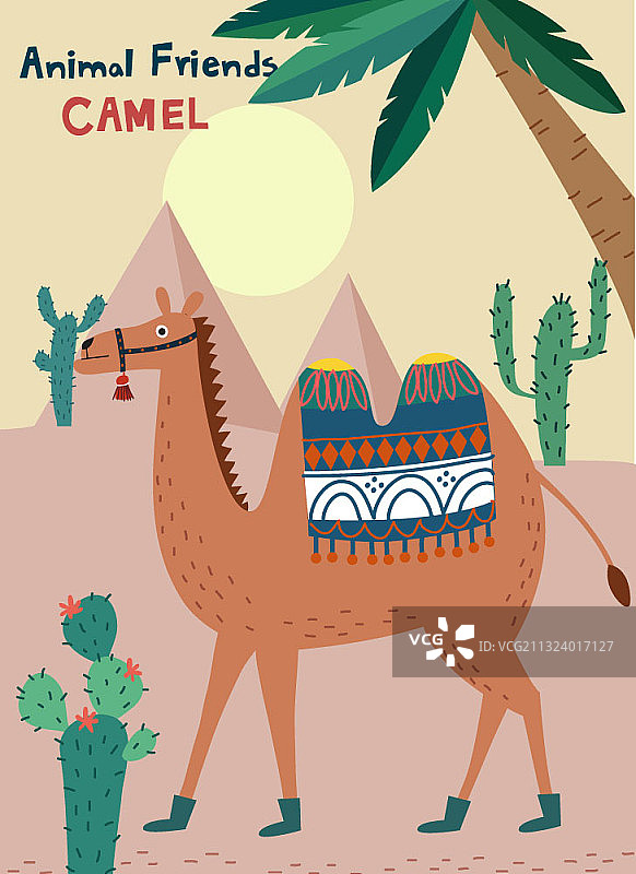 沙漠中的骆驼图片素材