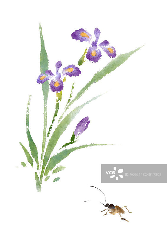 紫色花朵与昆虫图片素材
