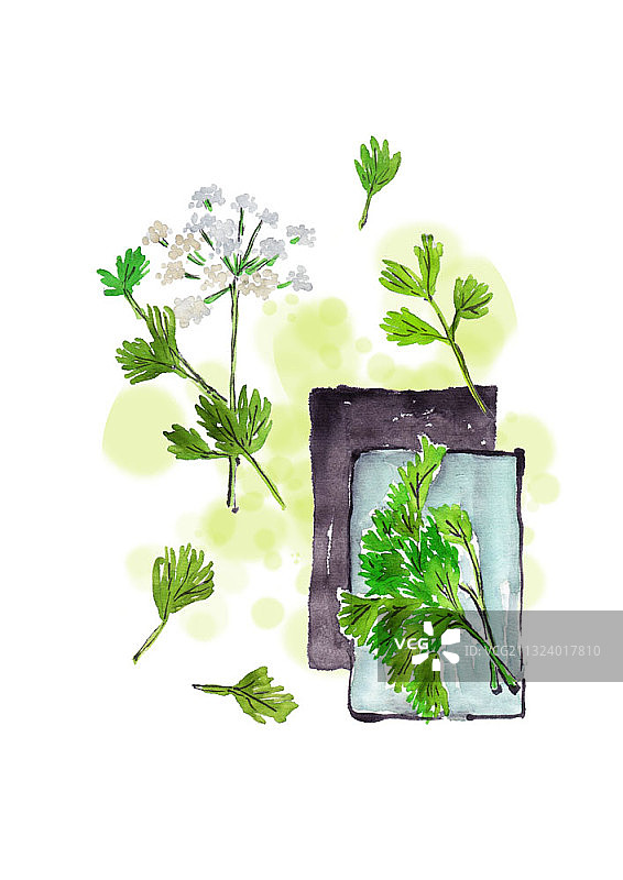 与春季花卉搭配的菊花花环图片素材