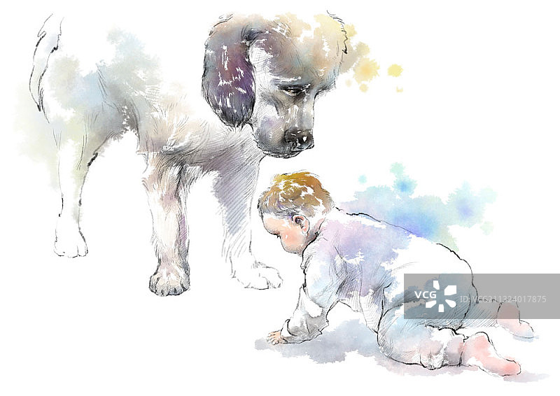 小狗看着正在爬行的婴儿图片素材