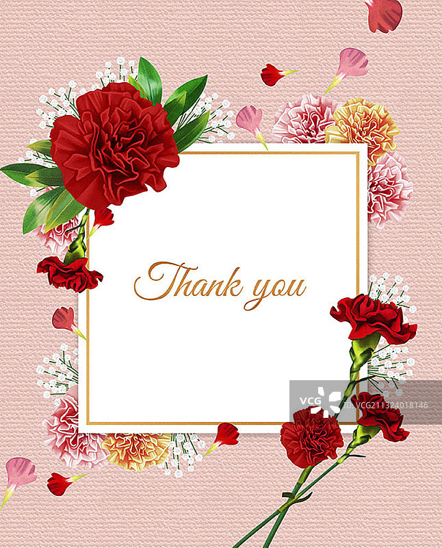红色康乃馨感恩卡图片素材