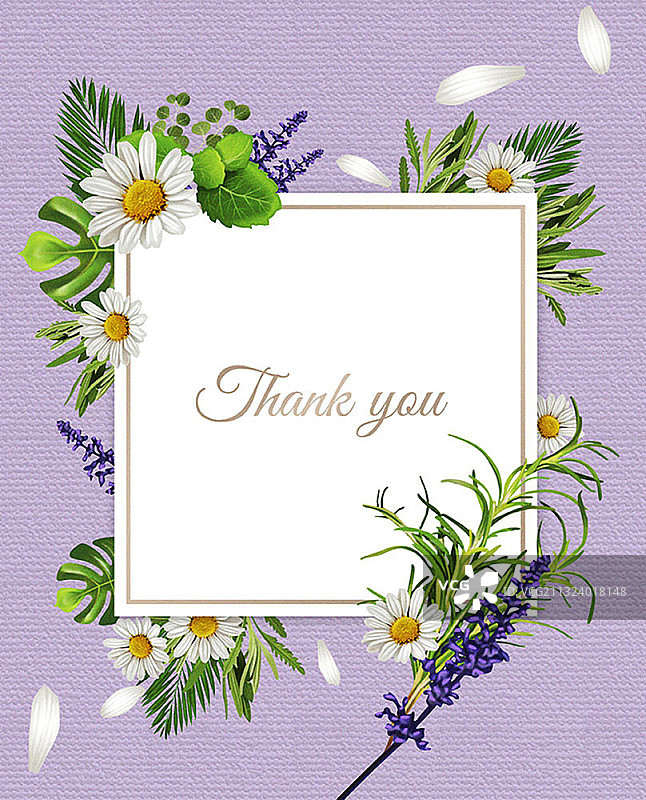 紫色背景雏菊感谢卡图片素材