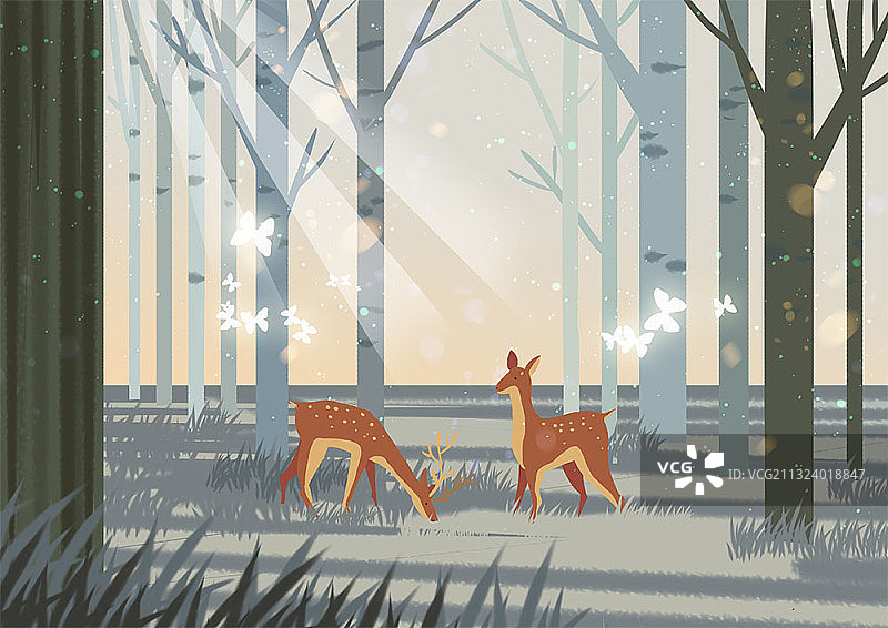 阳光穿透浓雾的森林里的鹿图片素材