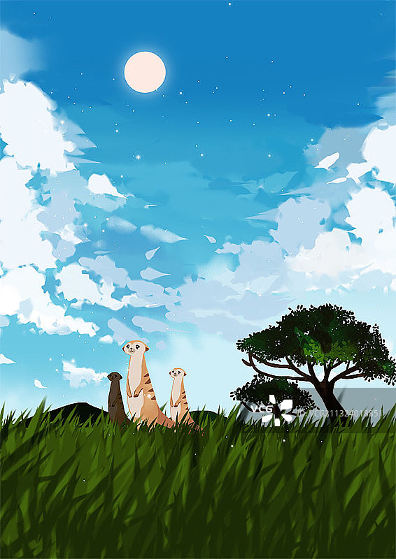 阳光明媚的草地上的狐獴图片素材