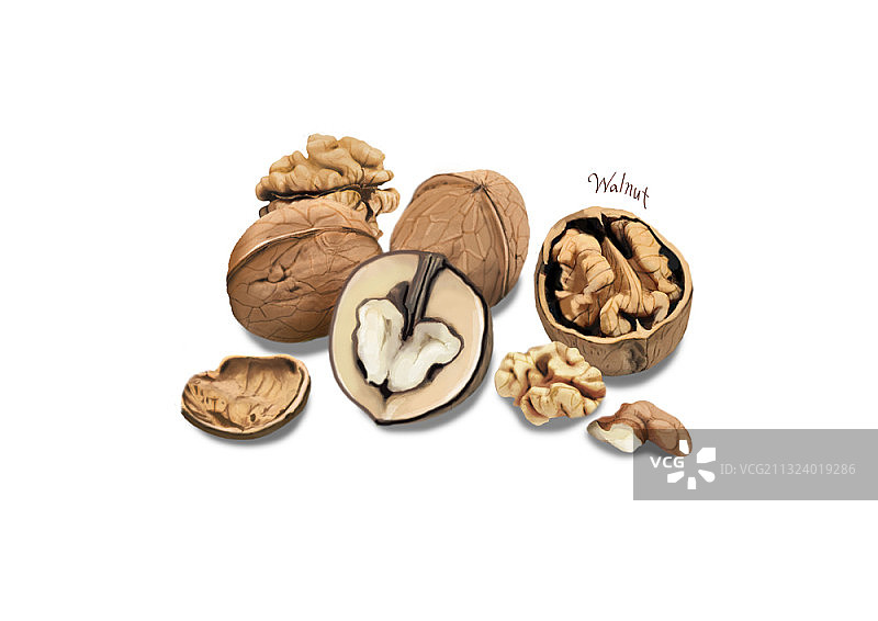 白色背景下的核桃切片和完整核桃图片素材