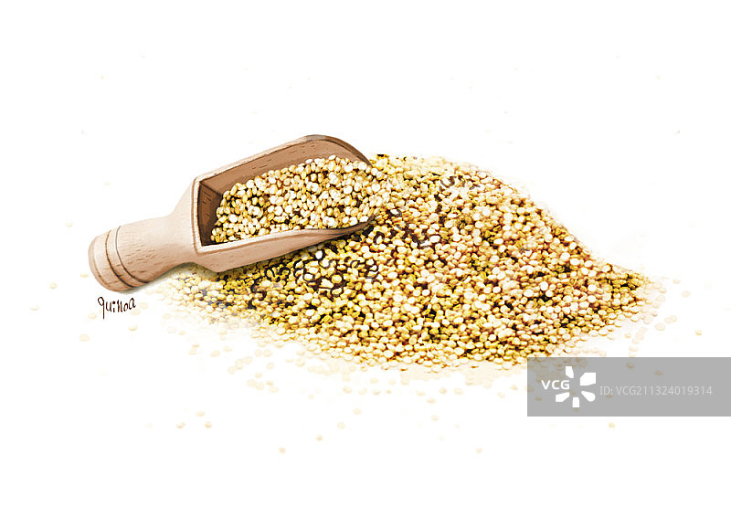 白色背景中用木勺盛放的藜麦图片素材