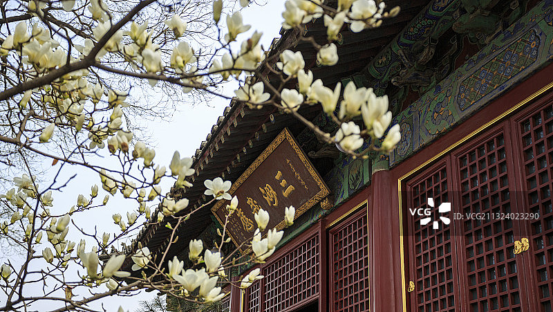 广济寺图片素材