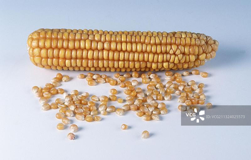 玉米棒图片素材